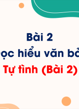 Bài 2 - Đọc hiểu văn bản Tự tình (bài 2)